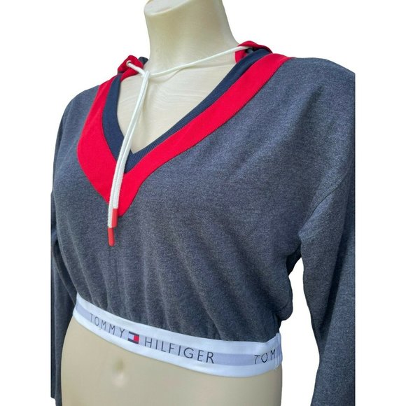 Tommy Hilfiger Logo Gray Cropped Hoodie Sweatshirt V-Neck Sz M Urban Outfitters - Picture 2 of 9